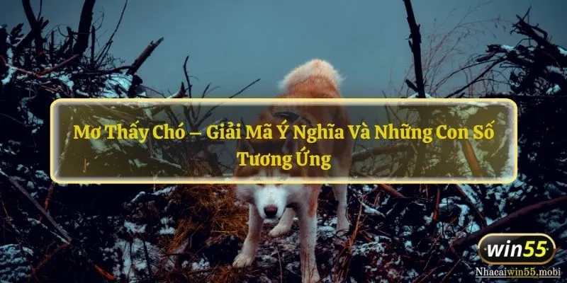 Mơ thấy chó